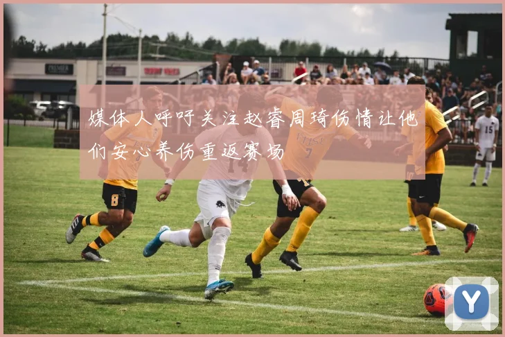 媒体人呼吁关注赵睿周琦伤情让他们安心养伤重返赛场